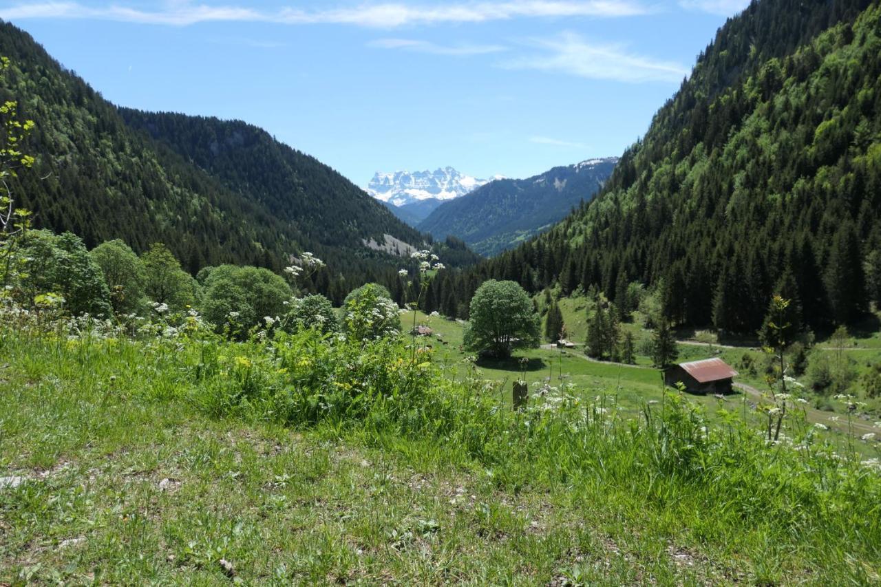 Chalet Cannelle Шатель Экстерьер фото